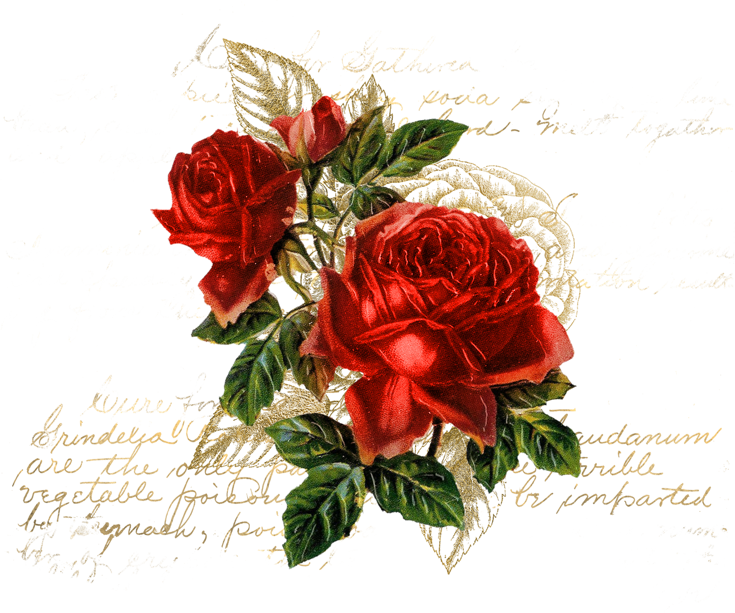 Floral Ephemera Accents
